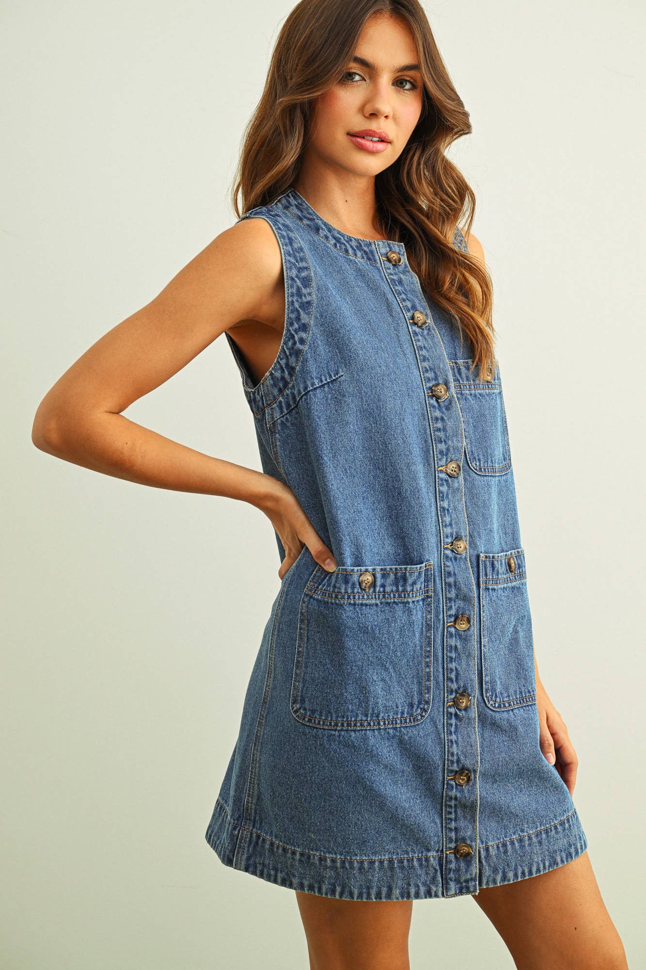 Alice Denim Dress