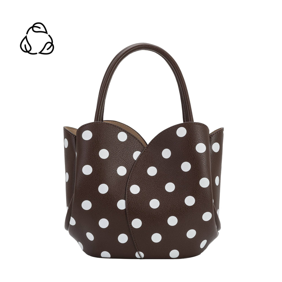 The Cocoa Dot Tulip