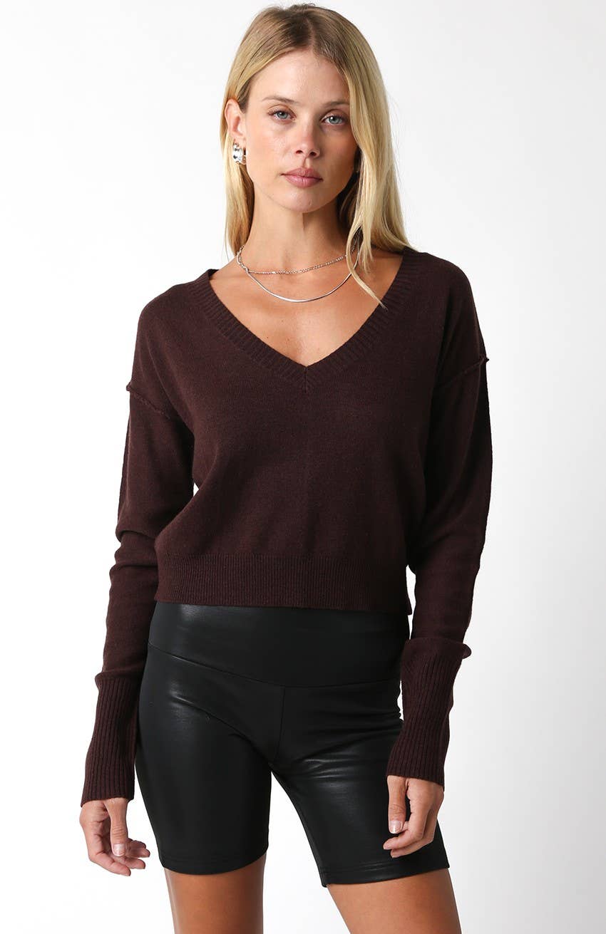Shelley Sweater in Coffee Bean