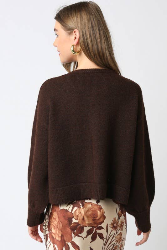 Lina Knit Top in Brown