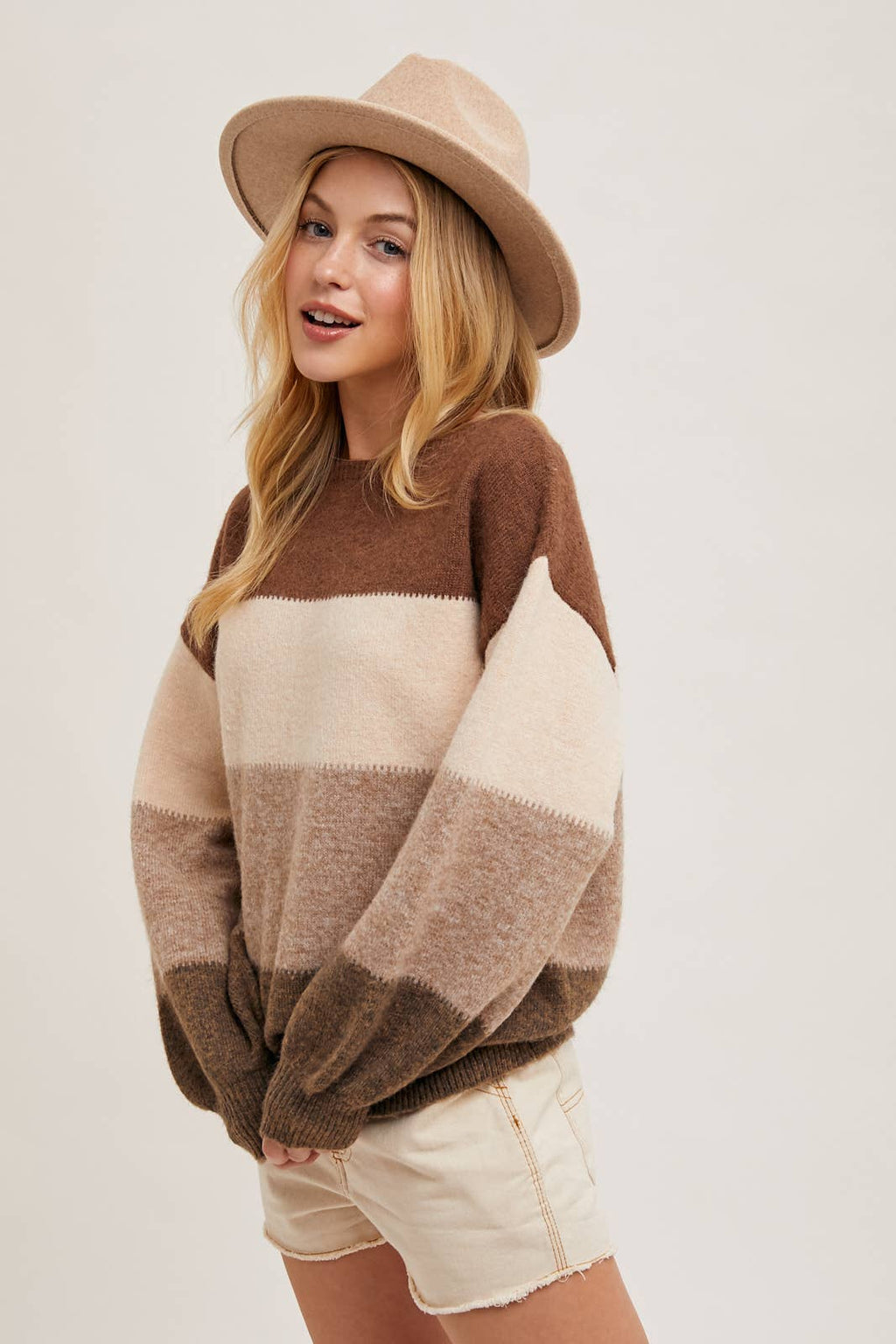 Chelise Color Block Sweater in Brown