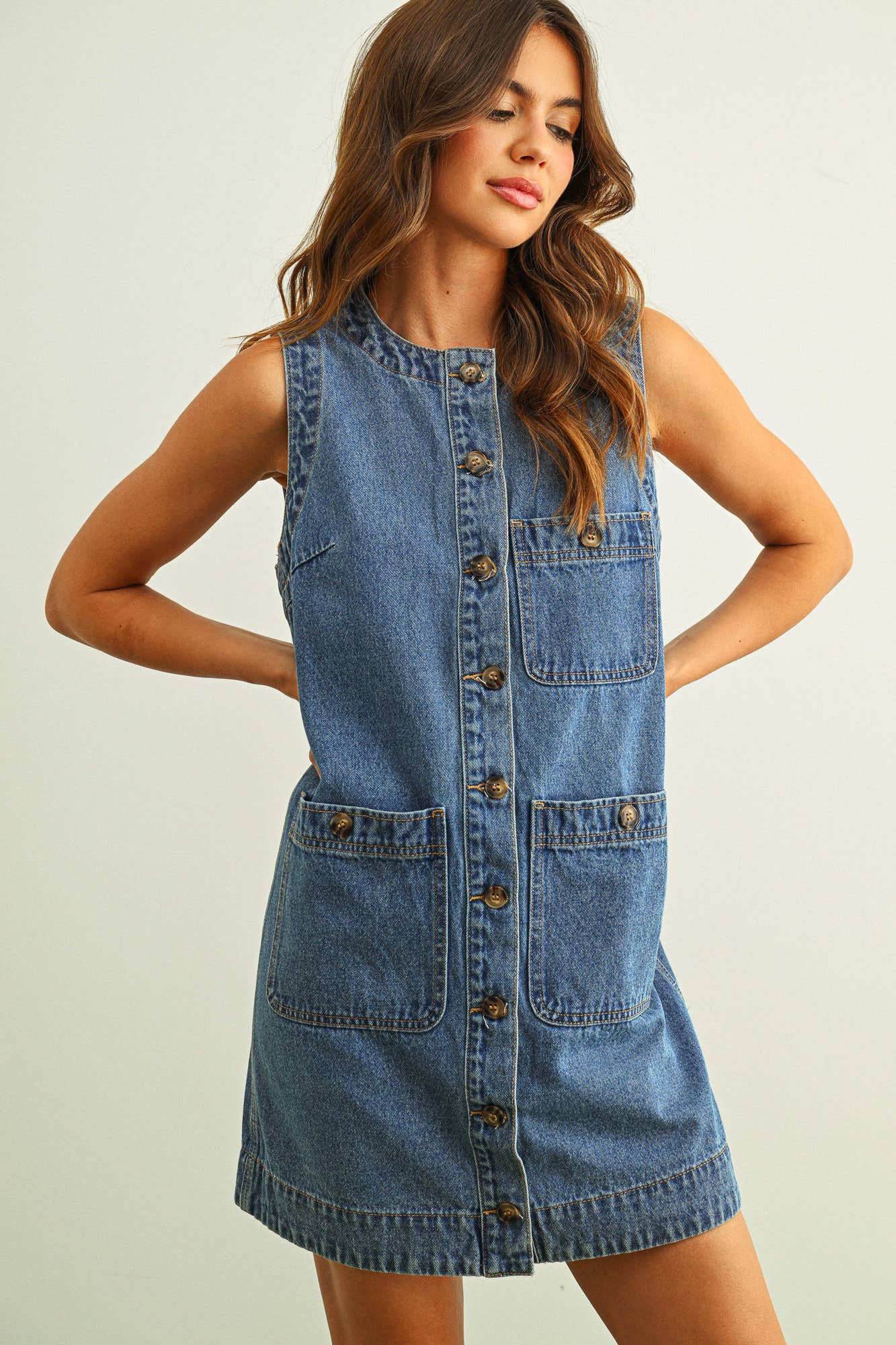 Alice Denim Dress