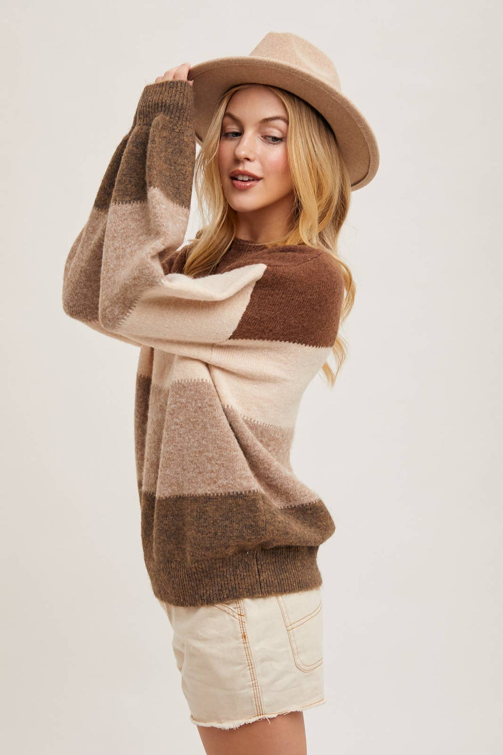 Chelise Color Block Sweater in Brown