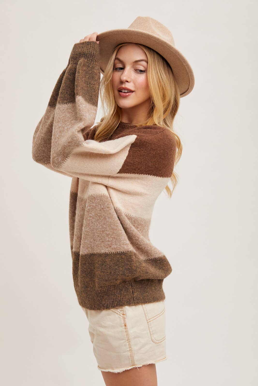 Chelise Color Block Sweater in Brown